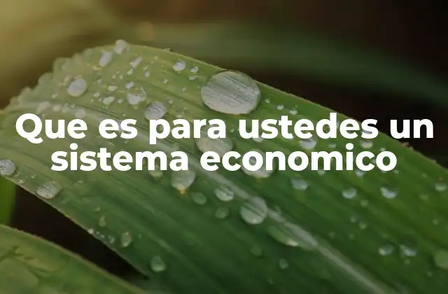 Que es para Ustedes un Sistema Economico