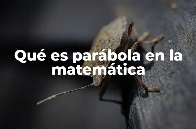 Qué es Parábola en la Matemática