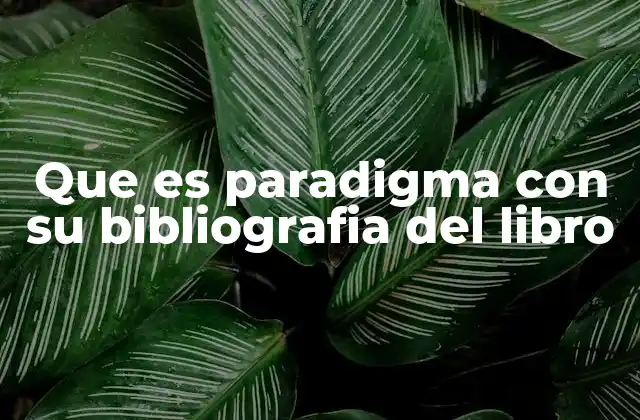 Que es Paradigma con Su Bibliografia Del Libro