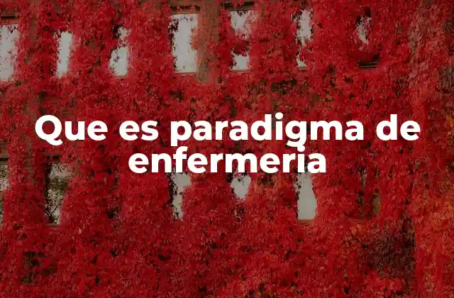 Que es Paradigma de Enfermeria