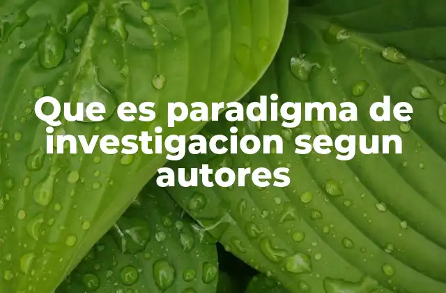 Que es Paradigma de Investigacion Segun Autores