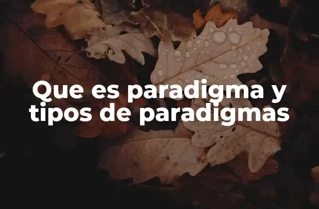 Que es Paradigma y Tipos de Paradigmas