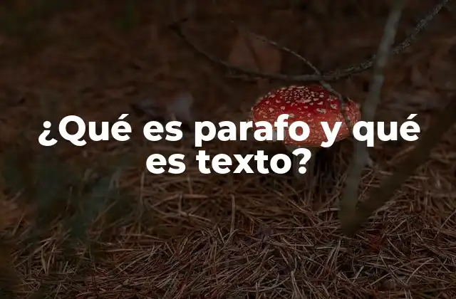 ¿qué es Parafo y Qué es Texto?