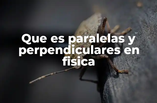 Que es Paralelas y Perpendiculares en Fisica 2 La importancia de las direcciones en la física clásica