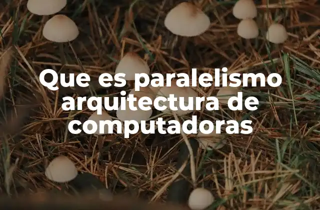 Que es Paralelismo Arquitectura de Computadoras
