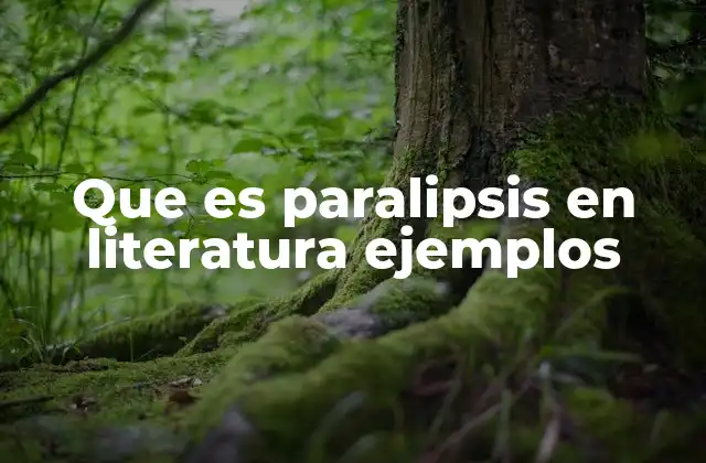 Que es Paralipsis en Literatura Ejemplos