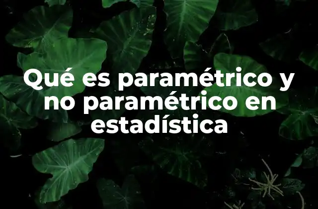Qué es Paramétrico y No Paramétrico en Estadística
