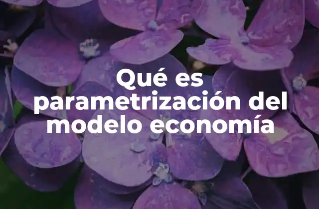 Qué es Parametrización Del Modelo Economía