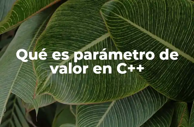 Qué es Parámetro de Valor en C++