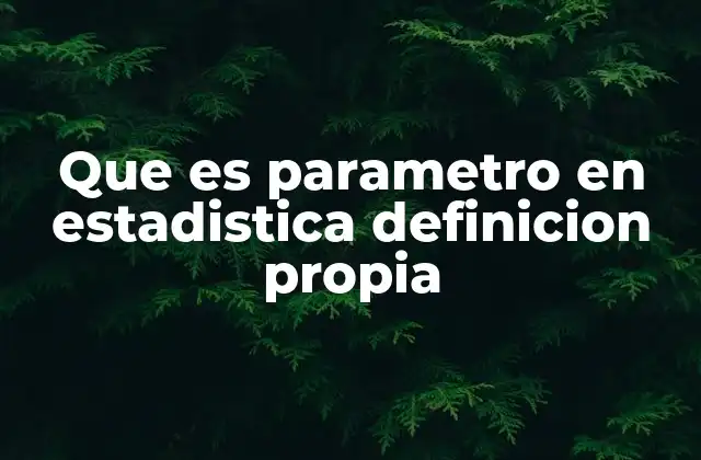 Que es Parametro en Estadistica Definicion Propia