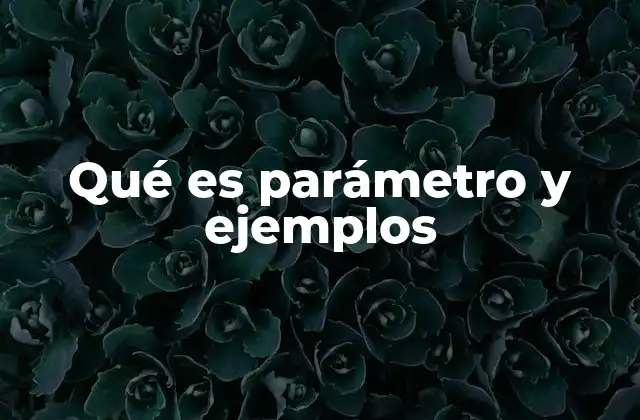 Qué es Parámetro y Ejemplos