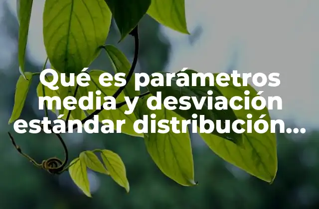 Qué es Parámetros Media y Desviación Estándar Distribución Binomial