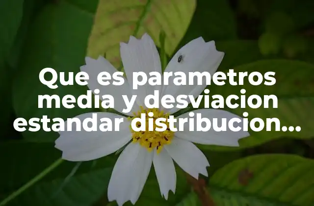 Que es Parametros Media y Desviacion Estandar Distribucion Normal
