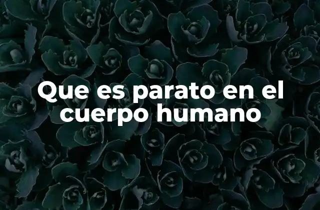 Que es Parato en el Cuerpo Humano