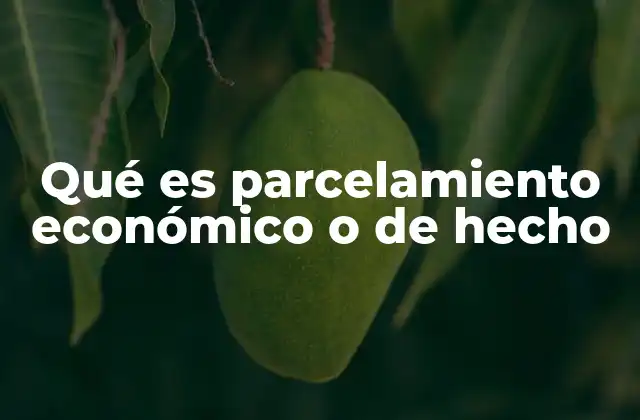 Qué es Parcelamiento Económico o de Hecho