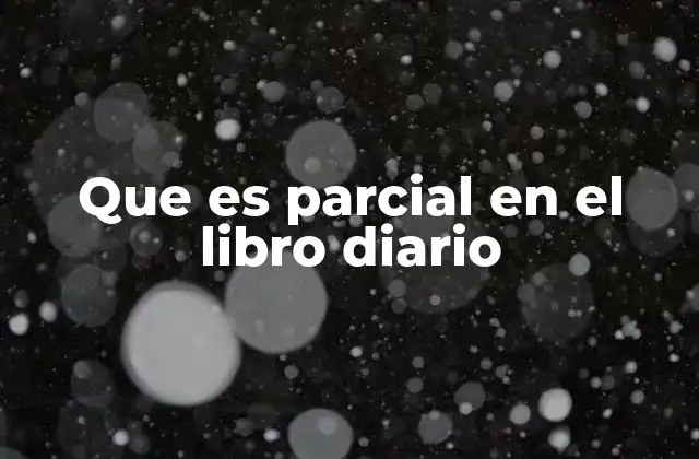 Que es Parcial en el Libro Diario