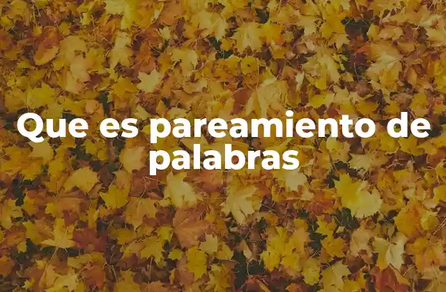 Que es Pareamiento de Palabras