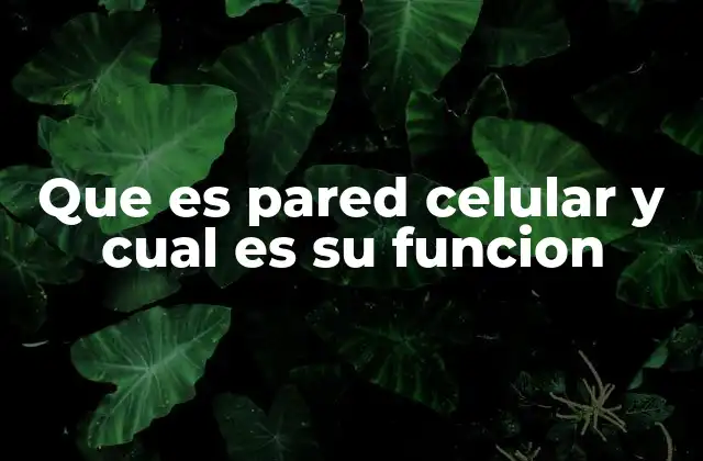 Que es Pared Celular y Cual es Su Funcion