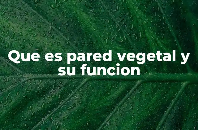 Que es Pared Vegetal y Su Funcion