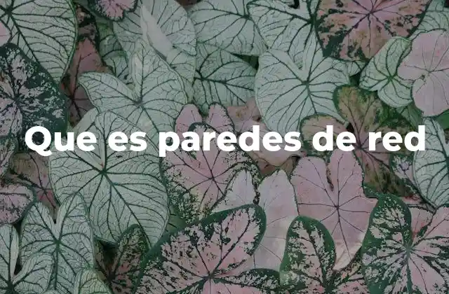 Que es Paredes de Red