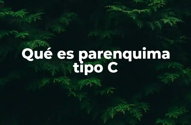 Qué es Parenquima Tipo C