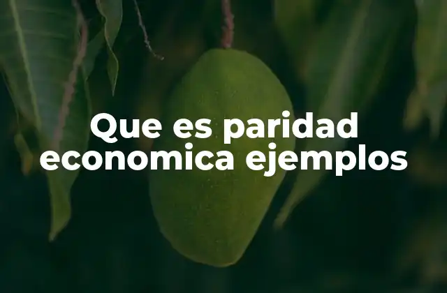 Que es Paridad Economica Ejemplos