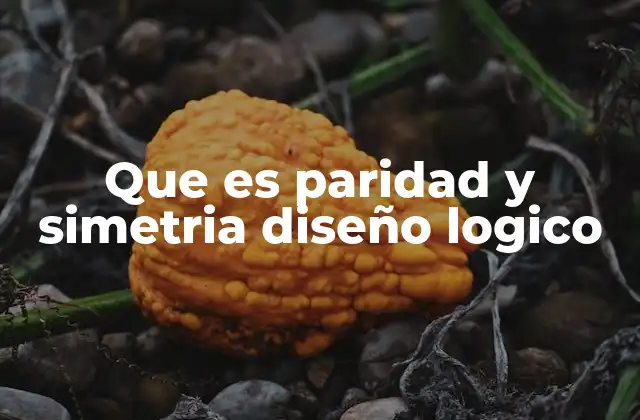 Que es Paridad y Simetria Diseño Logico