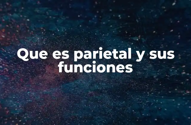 Que es Parietal y Sus Funciones