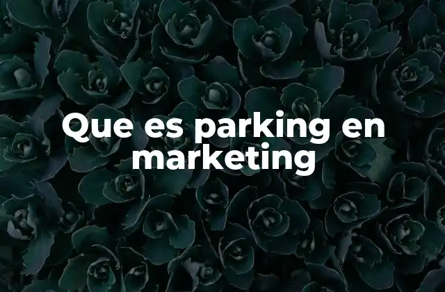 Que es Parking en Marketing 2 El parking como estrategia de control de tráfico en aplicaciones móviles