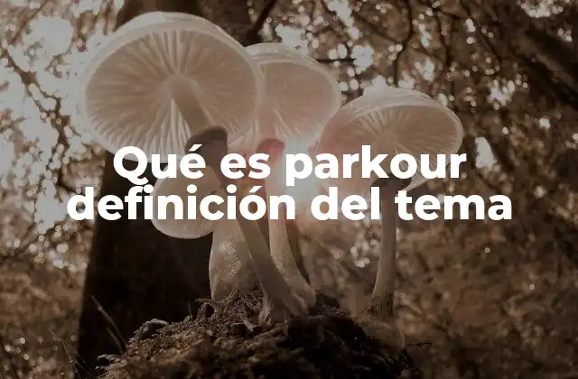 Qué es Parkour Definición Del Tema 2 El parkour como forma de conexión con el entorno