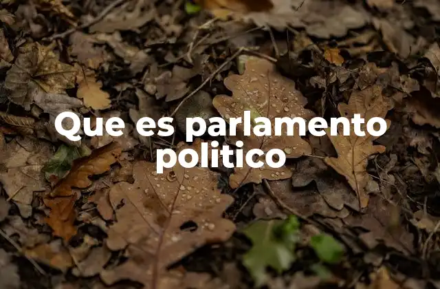 Que es Parlamento Politico 2 El rol del parlamento en la democracia moderna