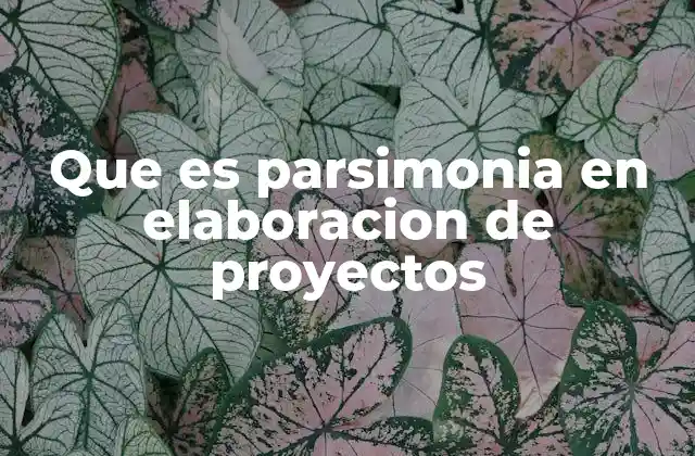La importancia de la simplicidad en la planificación de proyectos