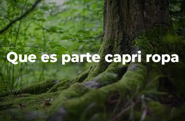 Que es Parte Capri Ropa