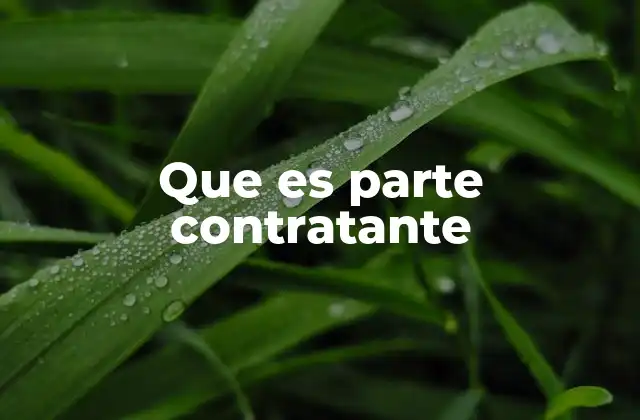 La importancia de las partes en un contrato legal