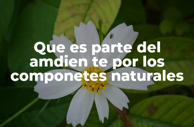 La importancia de los elementos que conforman el entorno natural