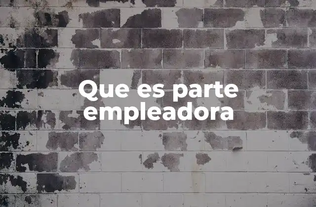 Que es Parte Empleadora