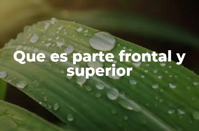 Que es Parte Frontal y Superior