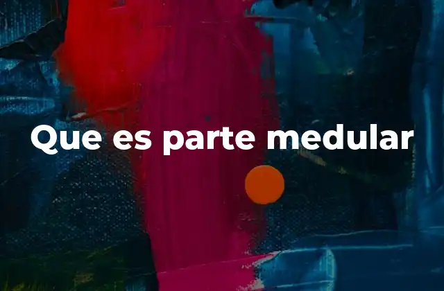 Que es Parte Medular