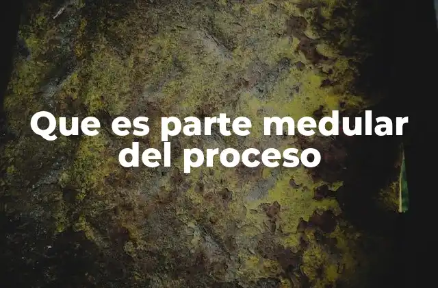 La importancia de los componentes esenciales en el desarrollo de sistemas complejos