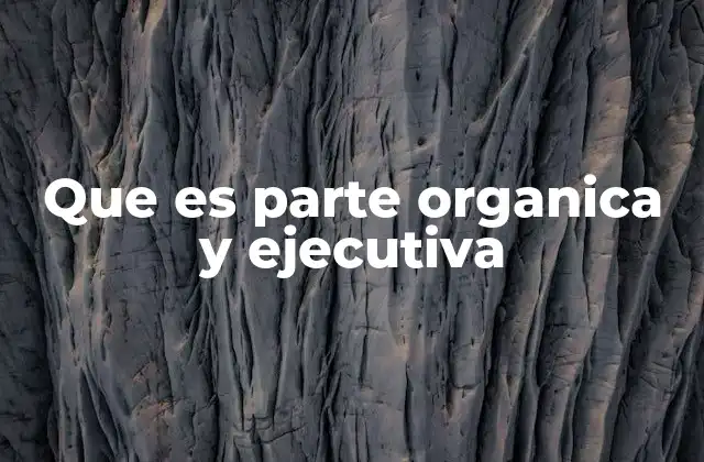Que es Parte Organica y Ejecutiva