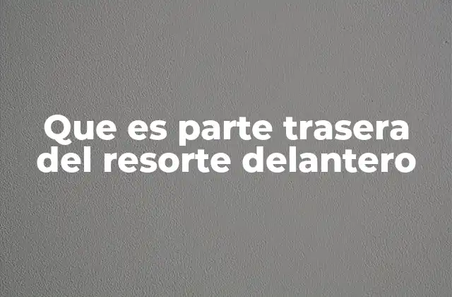 Que es Parte Trasera Del Resorte Delantero