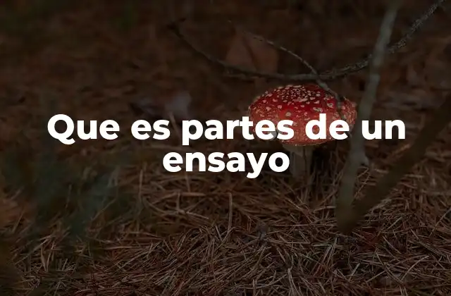 Que es Partes de un Ensayo