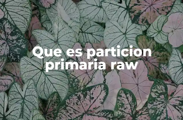 Que es Particion Primaria Raw