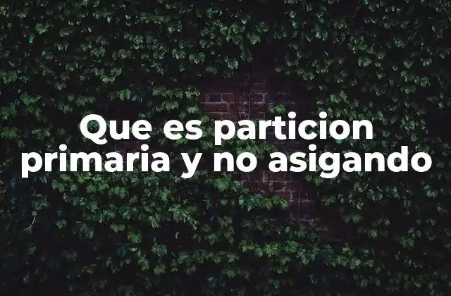 Que es Particion Primaria y No Asigando 2 Diferencias entre particiones primarias y no asignadas