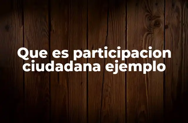 Que es Participacion Ciudadana Ejemplo