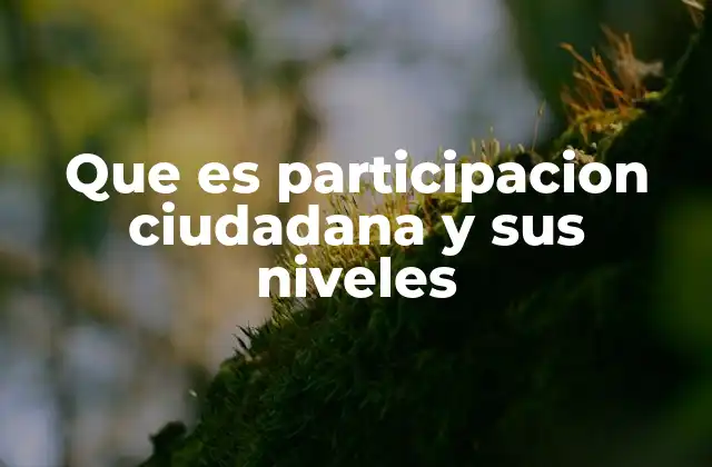 La participación ciudadana como herramienta para la gobernanza