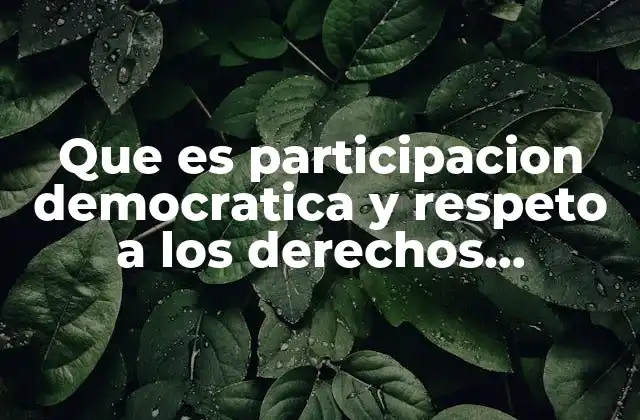 Que es Participacion Democratica y Respeto a los Derechos Humanos