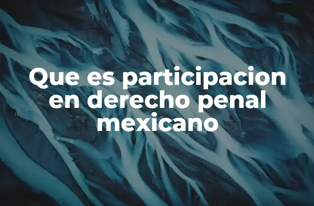 Que es Participacion en Derecho Penal Mexicano