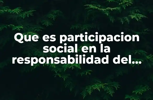 Que es Participacion Social en la Responsabilidad Del Estado 2 La relación entre gobierno y ciudadanía en el marco de la responsabilidad estatal