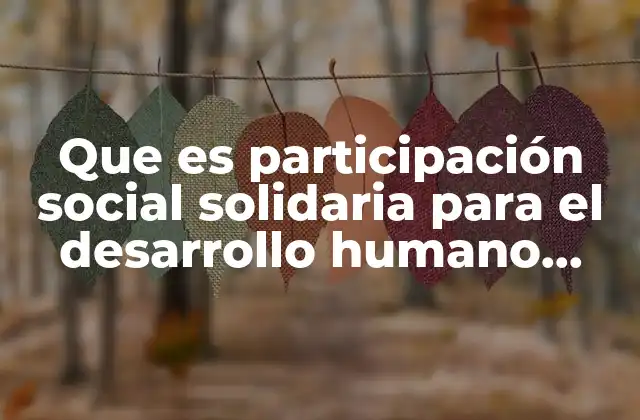 Que es Participación Social Solidaria para el Desarrollo Humano Sostenible